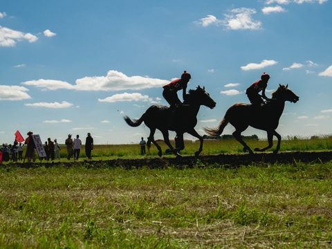 Кони на скаку по дистанции скачек